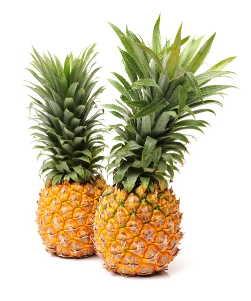 Ananas interi freschi — Foto Stock