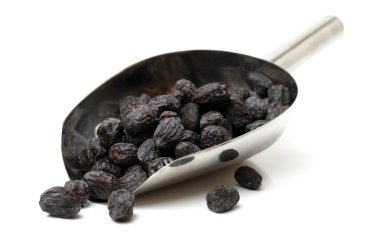 Diospyros lotus beyaz