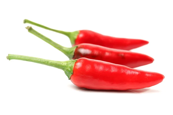 Pimentos vermelhos de pimentão — Fotografia de Stock