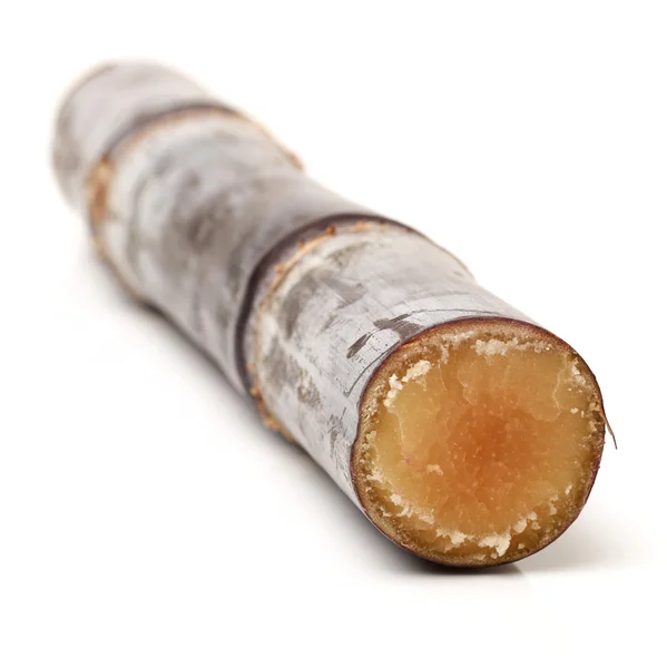 Sugar cane on white — Stock Photo, Image