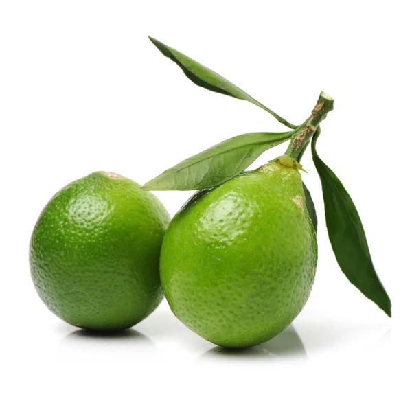 Fresh limes on white — Stock Photo, Image