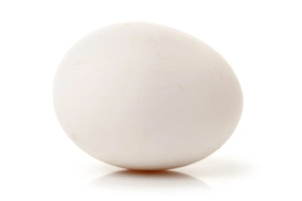 White egg on white — Stock Photo, Image