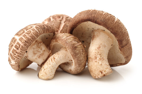 Shiitake mushrooms on white