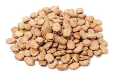 Fava fasulye, Vicia faba