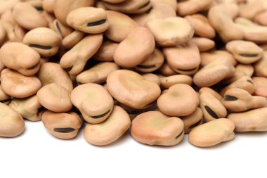 Fava fasulye, Vicia faba