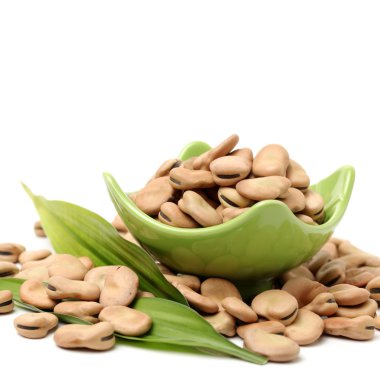 Fava fasulye, Vicia faba