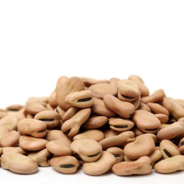 Fava fasulye, Vicia faba
