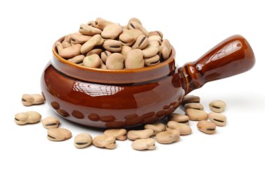 Fava fasulye, Vicia faba