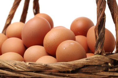 izole kahverengi yumurta