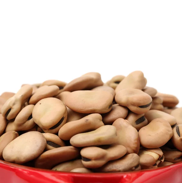 Fava beans,Vicia faba — Stock Photo, Image