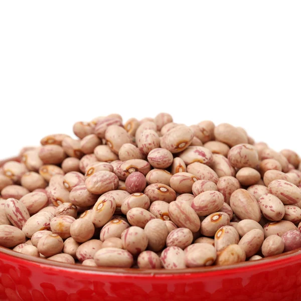 Roman beans on white — Stock Photo, Image