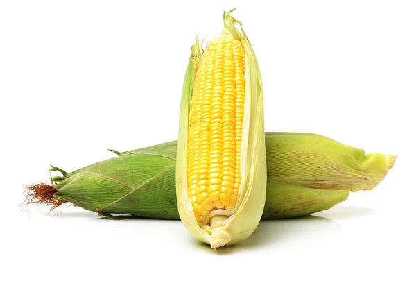 Свіжа кукурудза на білому — стокове фото