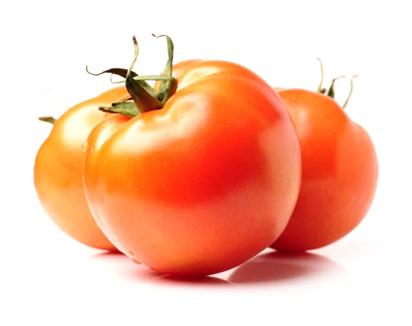 Ferske tomater på hvite – stockfoto
