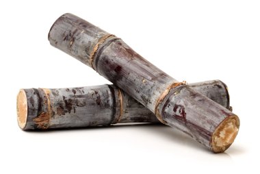 Beyaz şeker kamışı