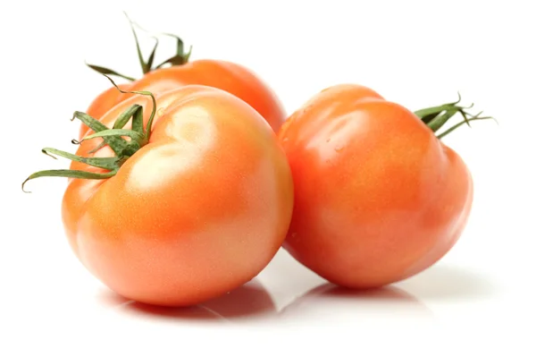 Fresh tomatoes on white — Stock Photo, Image