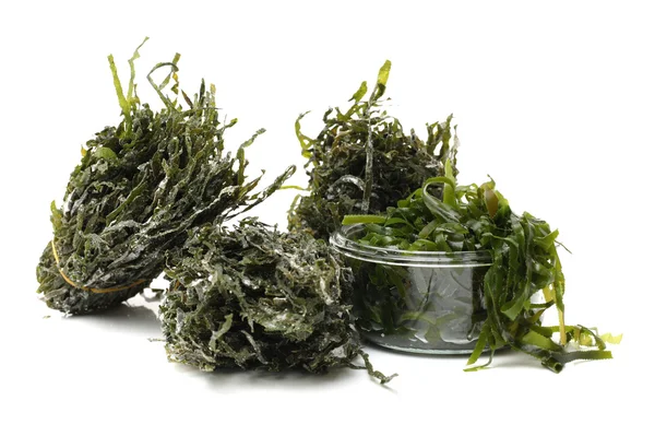 Green seaweed on white — Stock Photo, Image