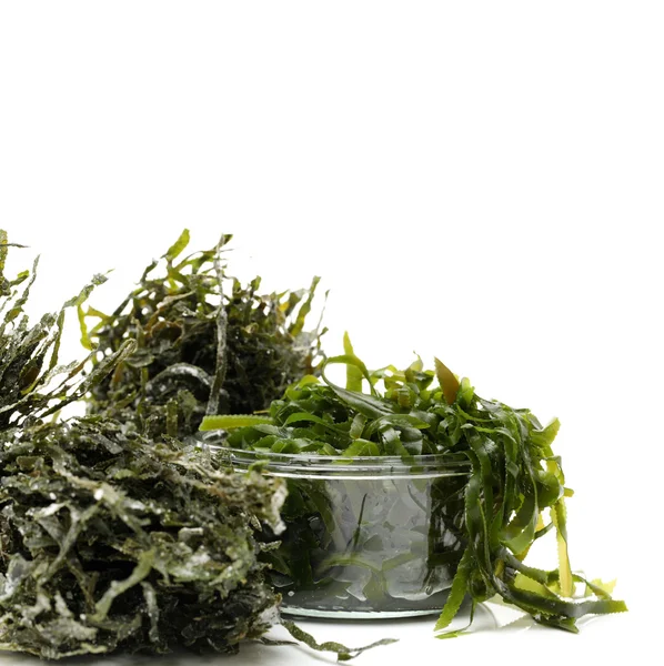 Green seaweed on white — Stock Photo, Image