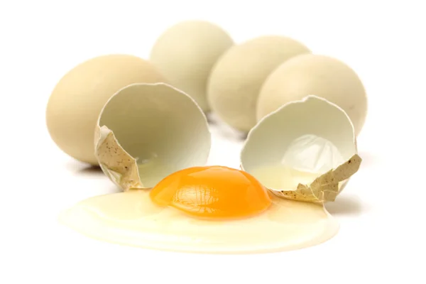 Verse eieren op wit — Stockfoto