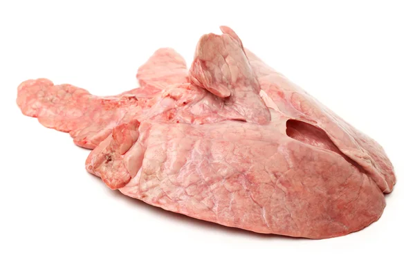 Polmone di maiale su bianco — Foto Stock