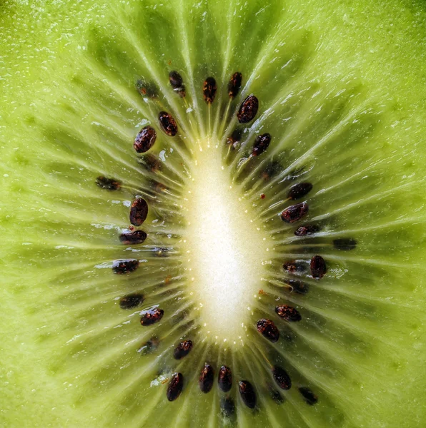 Kiwi fruit on white — Stock Photo, Image