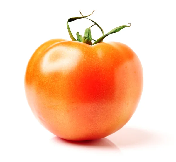 Fresh tomato on white — Stock Photo, Image