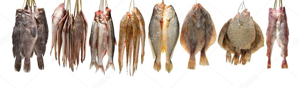 Свежая рыба на белом Лицензионные Стоковые Изображения