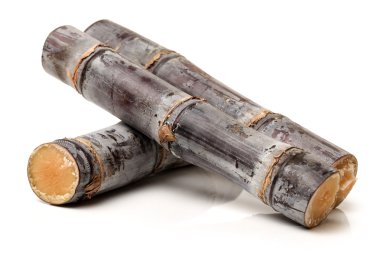 Beyaz şeker kamışı