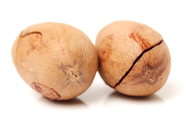Pekannötter på vitt — Stockfoto