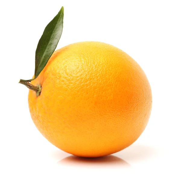 Frutto arancione su bianco — Foto Stock