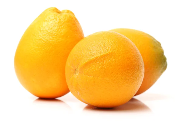Orange frukter på vit — Stockfoto