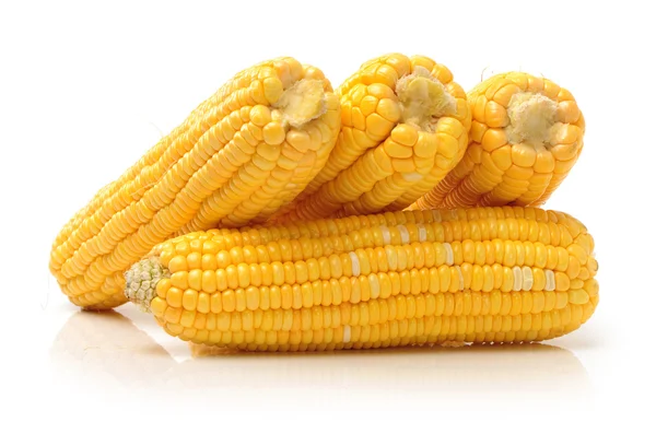 Świeżych kukurydzy na białym tle — Zdjęcie stockowe