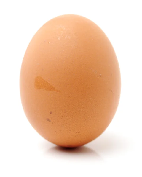 Brown egg — Stock Photo, Image