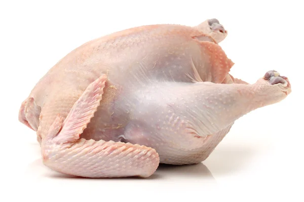 Surowy kura na białym — Zdjęcie stockowe