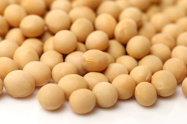 Gold soybeans on white — Stock Photo, Image