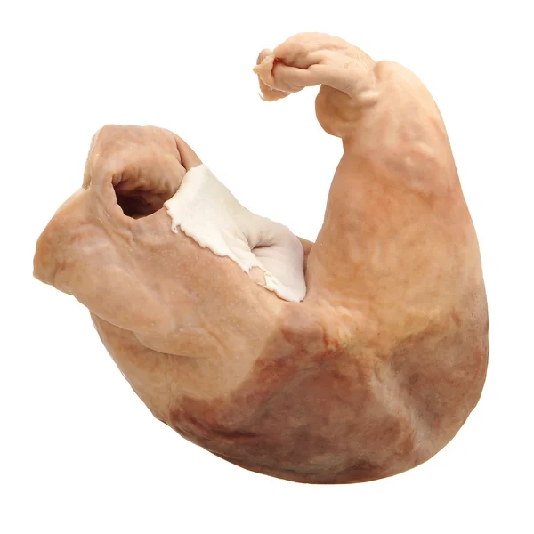 Pig's organ stomach — Stock Photo, Image