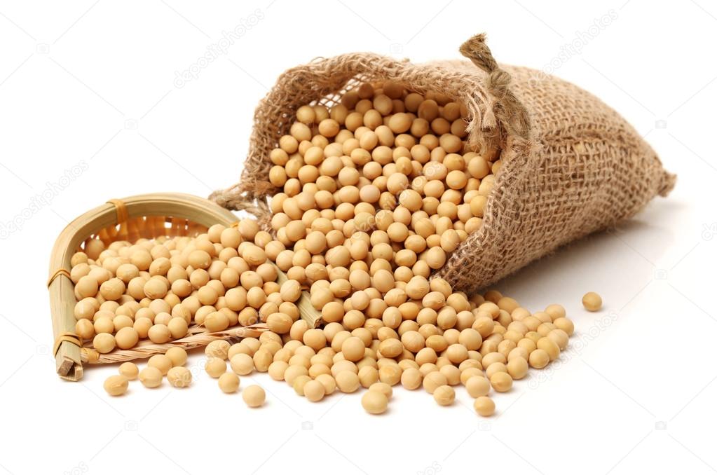 Gold soybeans on white