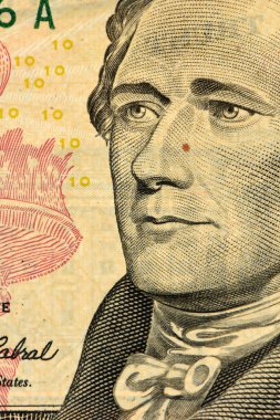 Amerikan Doları görünümü
