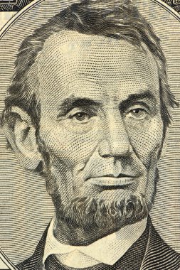 Amerikan Doları görünümü