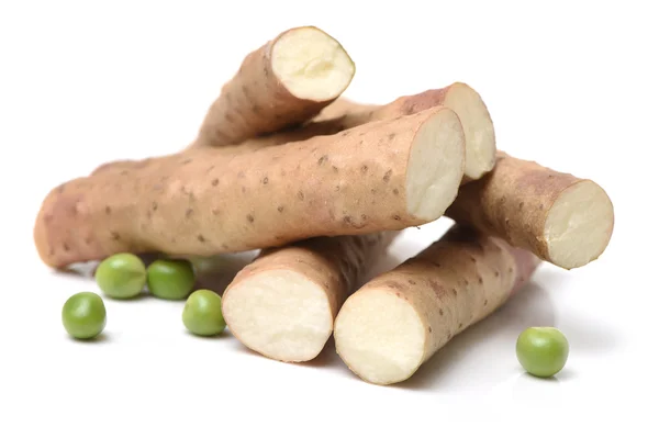 Chinese yam root — Stock Photo, Image