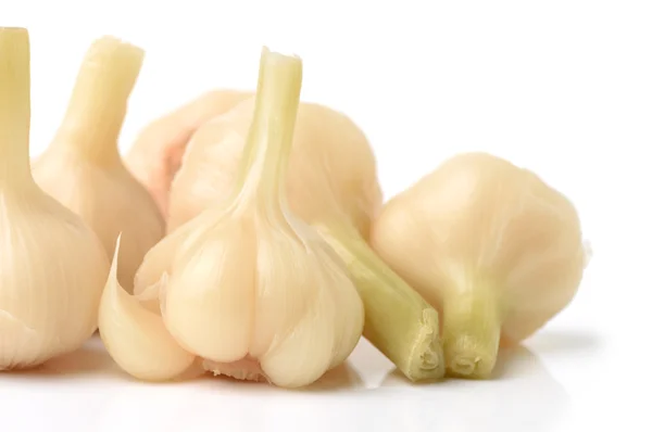 White Garlic on white — Stock Photo, Image