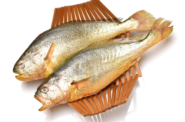 Žlutá sýček ryby — Stock fotografie