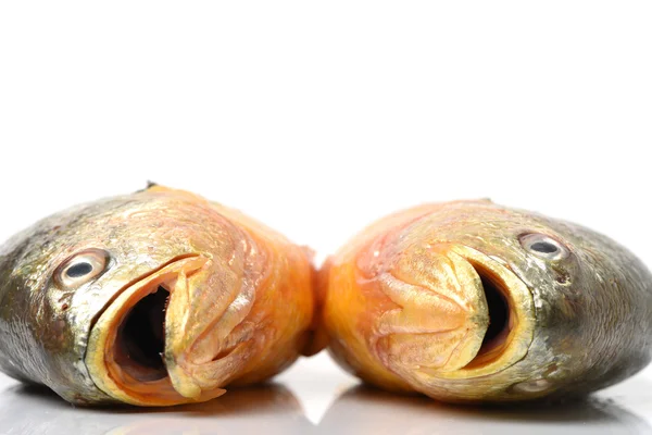 黄色のニベ科の魚 — ストック写真