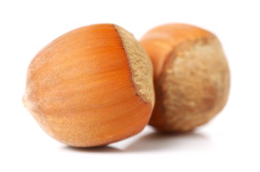 Beyaz arkaplanda fındık