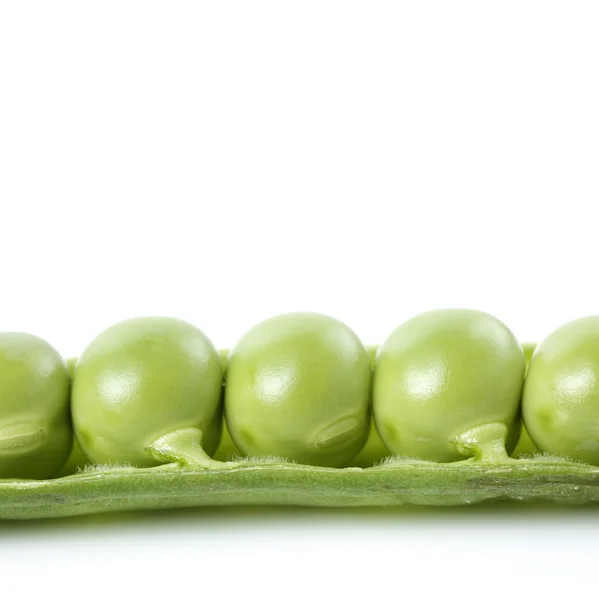 Guisantes frescos sobre blanco — Foto de Stock