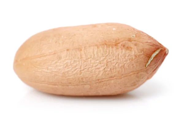 One Fresh peanut — Stock Photo, Image