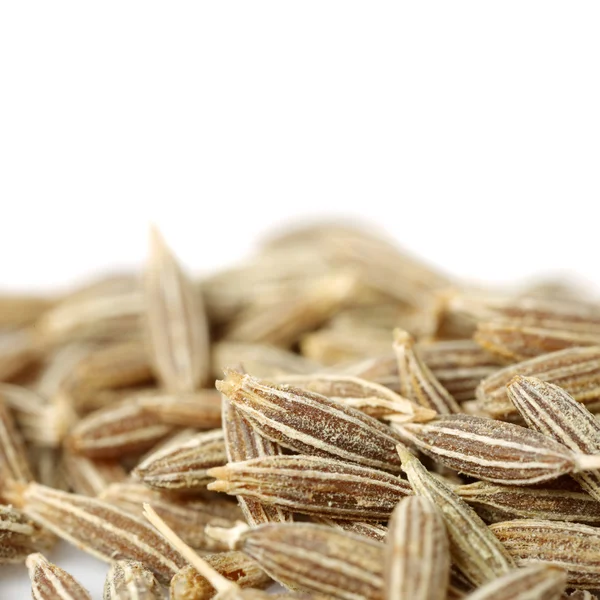 Cumin seeds on white — Stock Photo, Image