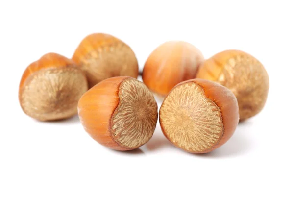 Hazelnuts на белом фоне — стоковое фото