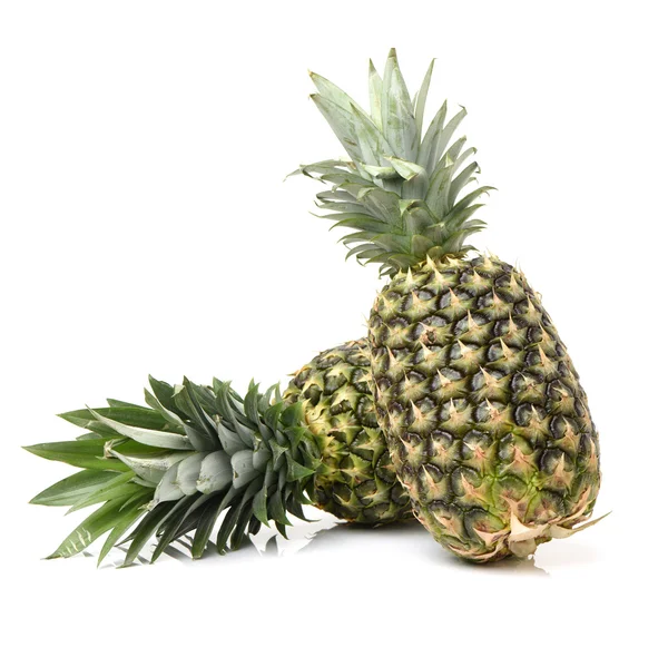 Vers en lekker ananas — Stockfoto