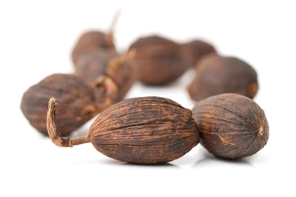 Black cardamom on a white — Stock Photo, Image