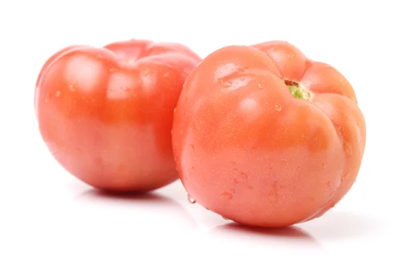 Frische rote Tomaten — Stockfoto